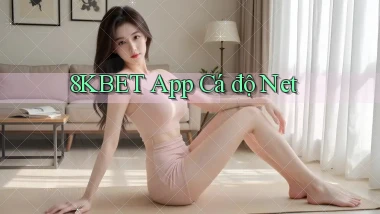 8kbet app cá độ net